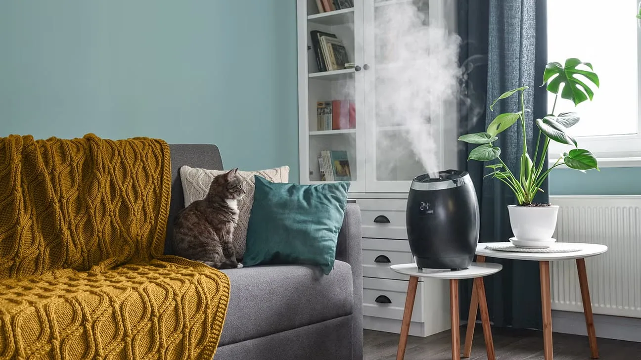 Cozy living room with a portable humidifier running by a window in winter